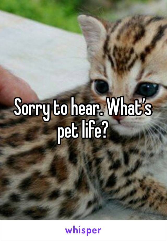 Sorry to hear. What’s pet life?