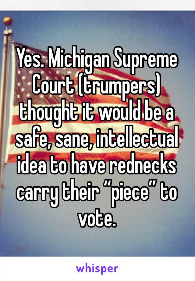 Yes. Michigan Supreme Court (trumpers) thought it would be a safe, sane, intellectual idea to have rednecks carry their “piece” to vote. 