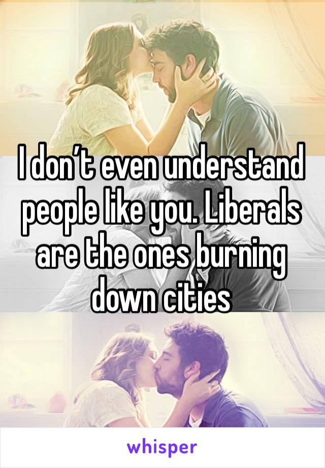 I don’t even understand people like you. Liberals are the ones burning down cities 