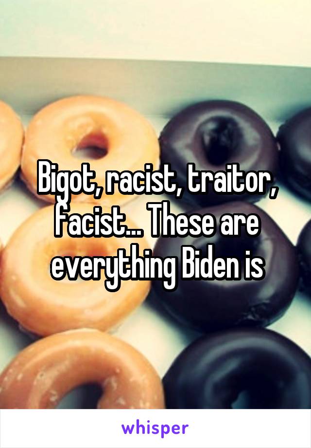 Bigot, racist, traitor, facist... These are everything Biden is