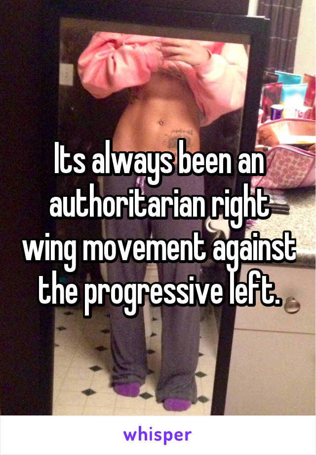 Its always been an authoritarian right wing movement against the progressive left.