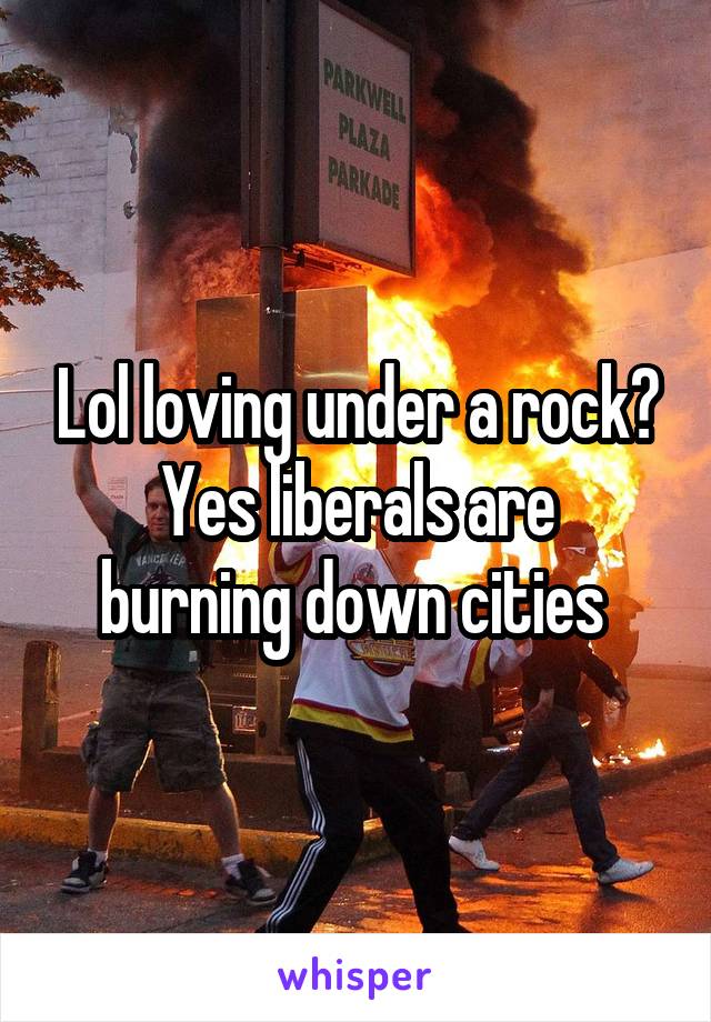 Lol loving under a rock?
Yes liberals are burning down cities 