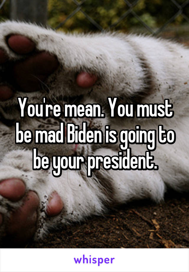 You're mean. You must be mad Biden is going to be your president.