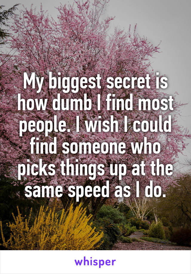 My biggest secret is how dumb I find most people. I wish I could find someone who picks things up at the same speed as I do.