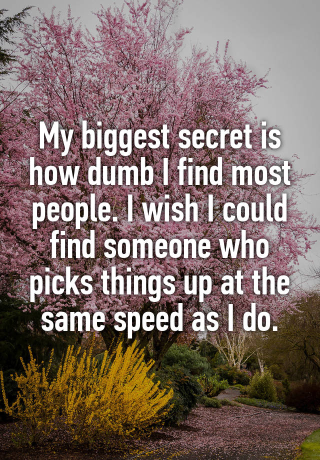 My biggest secret is how dumb I find most people. I wish I could find someone who picks things up at the same speed as I do.