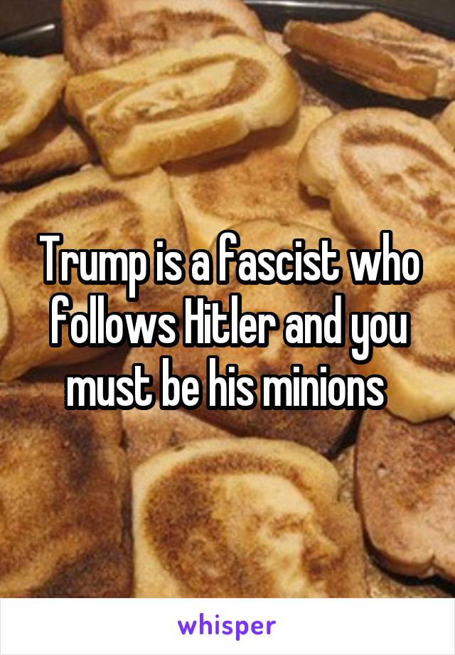 Trump is a fascist who follows Hitler and you must be his minions 