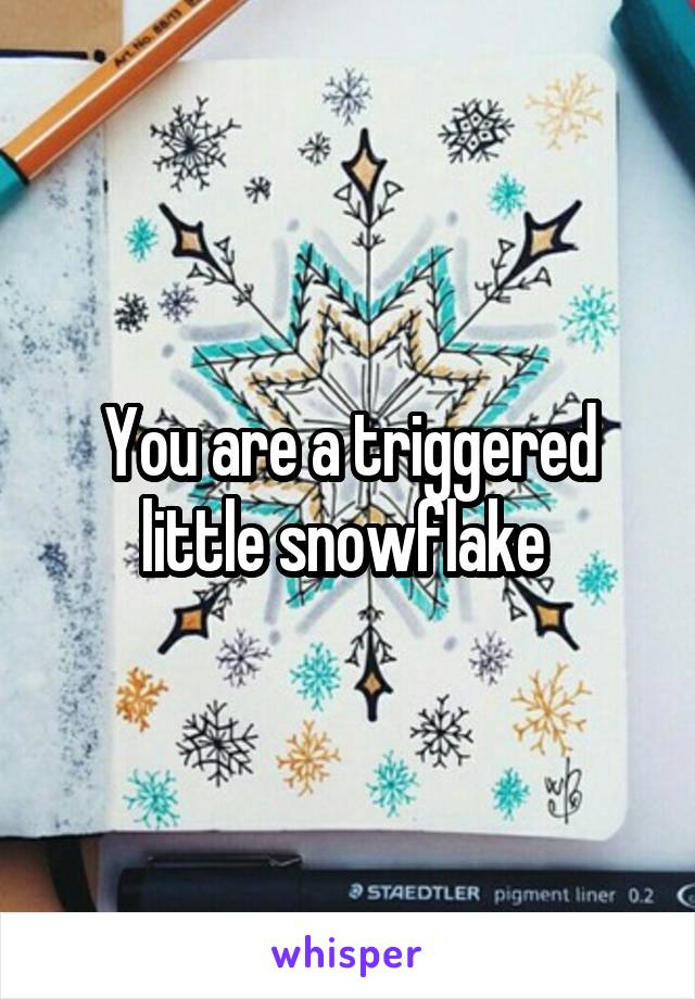 You are a triggered little snowflake 