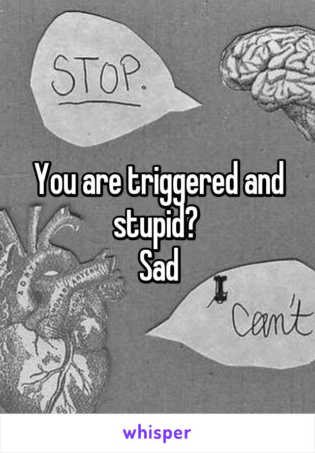 You are triggered and stupid? 
Sad