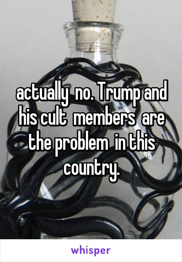  actually  no. Trump and his cult  members  are the problem  in this country.