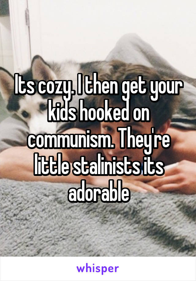 Its cozy. I then get your kids hooked on communism. They're little stalinists its adorable