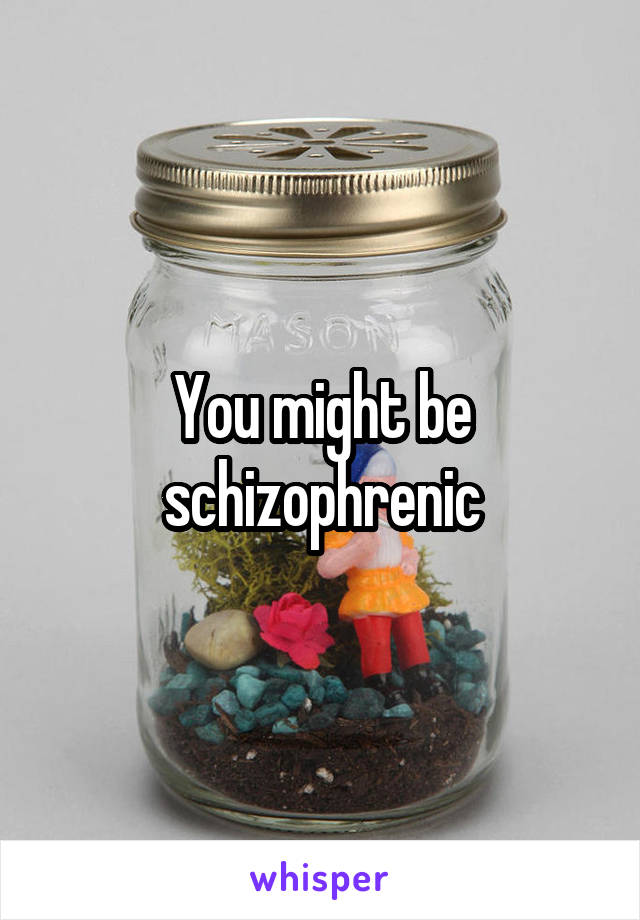 You might be schizophrenic