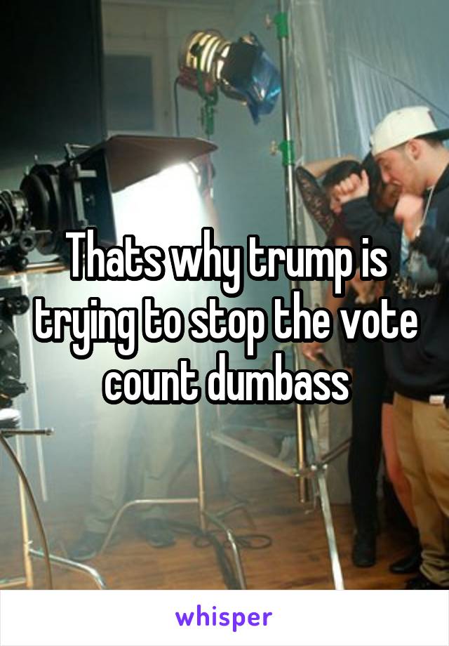 Thats why trump is trying to stop the vote count dumbass