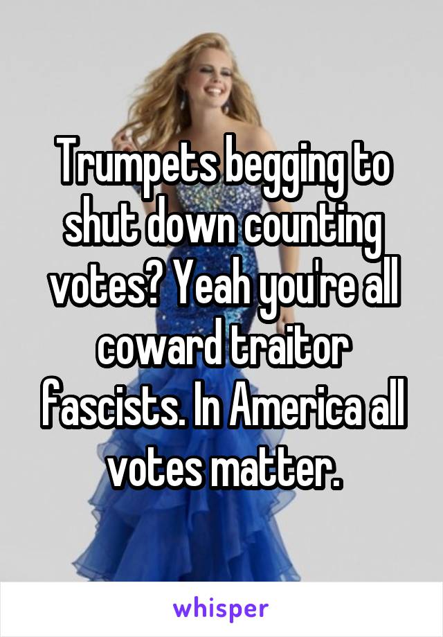 Trumpets begging to shut down counting votes? Yeah you're all coward traitor fascists. In America all votes matter.