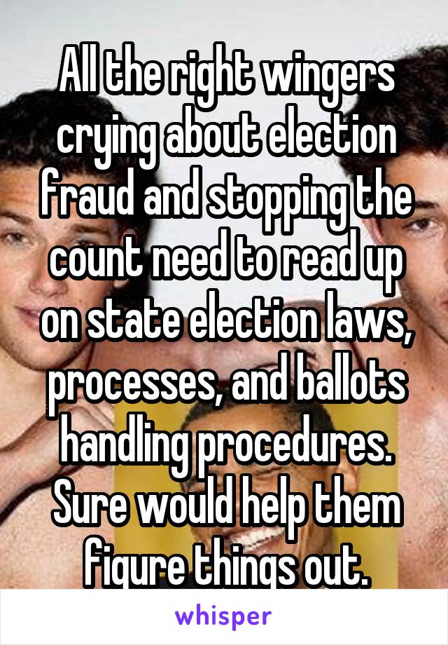 All the right wingers crying about election fraud and stopping the count need to read up on state election laws, processes, and ballots handling procedures. Sure would help them figure things out.