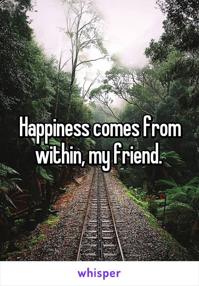 Happiness comes from within, my friend. 