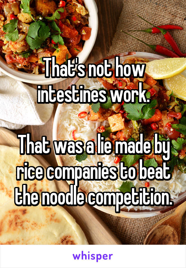 That's not how intestines work.

That was a lie made by rice companies to beat the noodle competition.