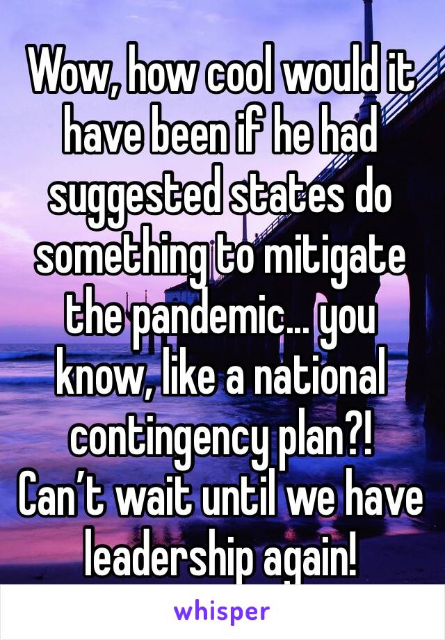 Wow, how cool would it have been if he had suggested states do something to mitigate the pandemic... you know, like a national contingency plan?!
Can’t wait until we have leadership again!