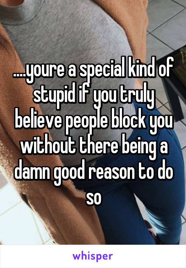 ....youre a special kind of stupid if you truly believe people block you without there being a damn good reason to do so