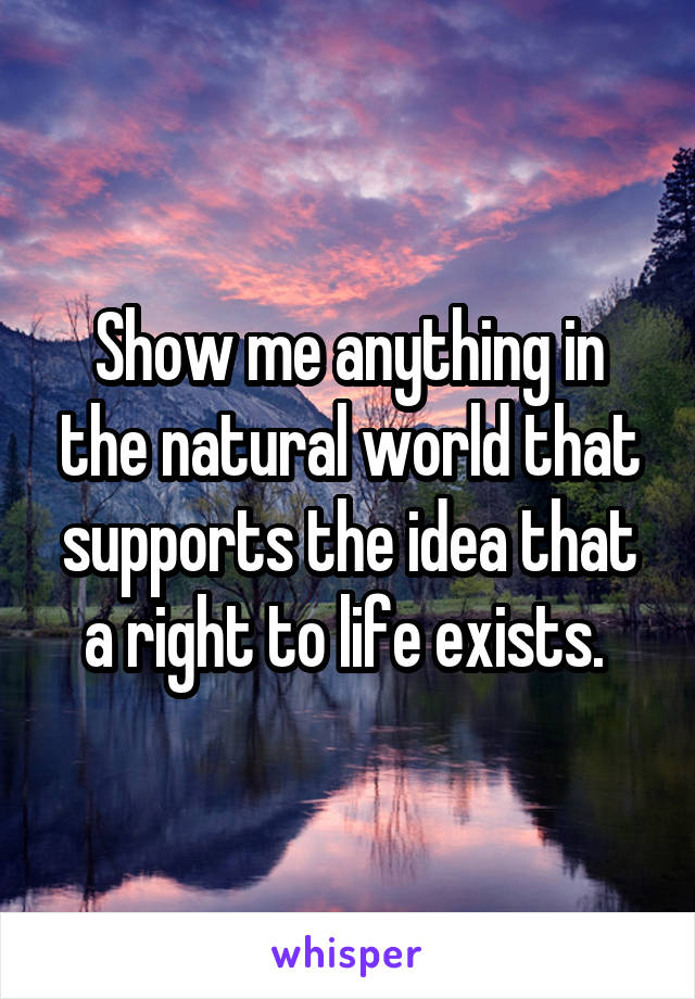 Show me anything in the natural world that supports the idea that a right to life exists. 