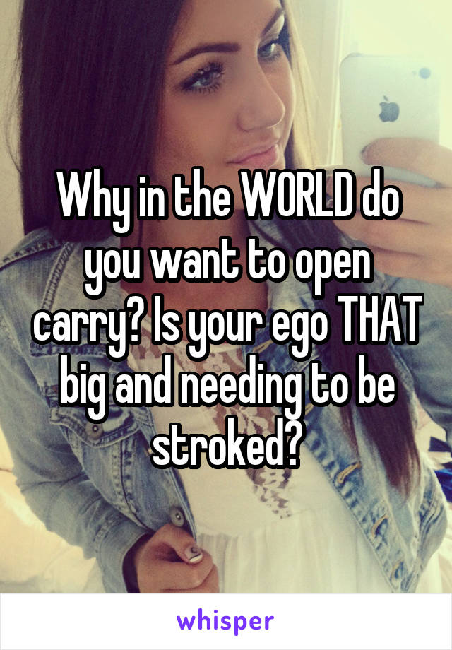 Why in the WORLD do you want to open carry? Is your ego THAT big and needing to be stroked?