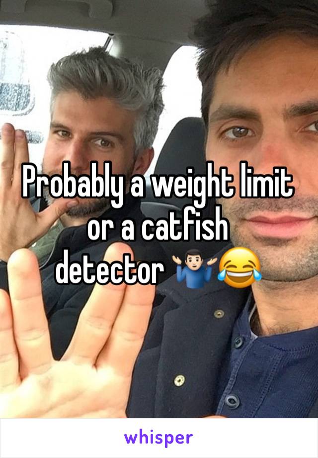 Probably a weight limit or a catfish detector 🤷🏻‍♂️😂