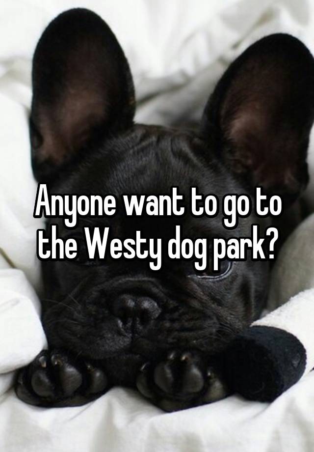 Anyone want to go to the Westy dog park?