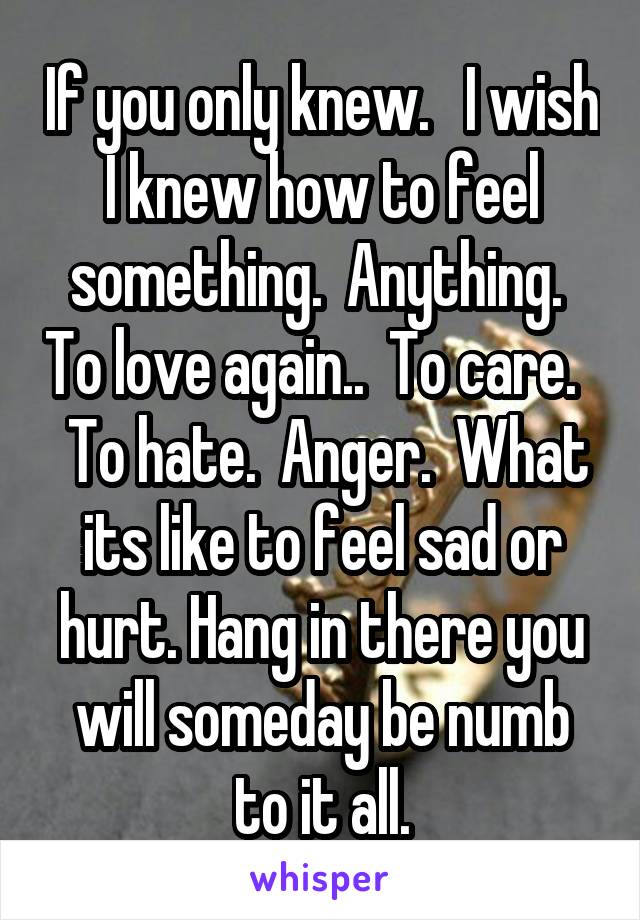 If you only knew.   I wish I knew how to feel something.  Anything.  To love again..  To care.    To hate.  Anger.  What its like to feel sad or hurt. Hang in there you will someday be numb to it all.