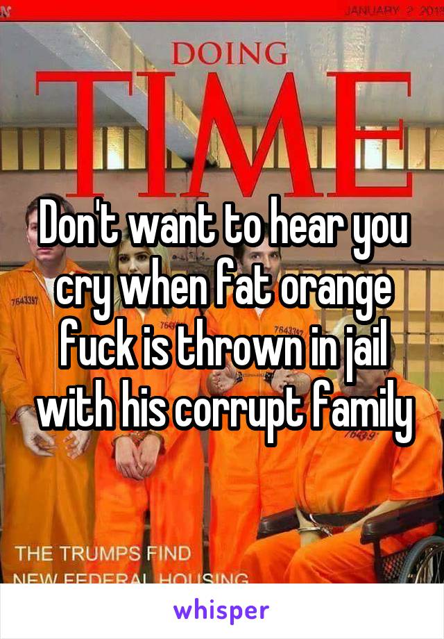 Don't want to hear you cry when fat orange fuck is thrown in jail with his corrupt family