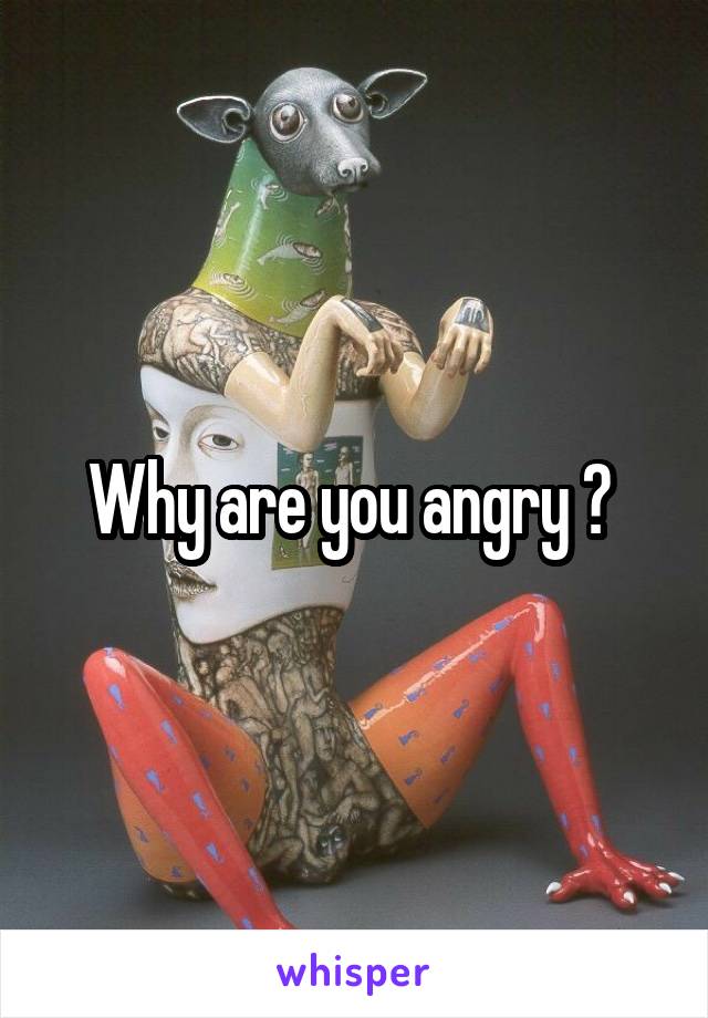 Why are you angry ? 