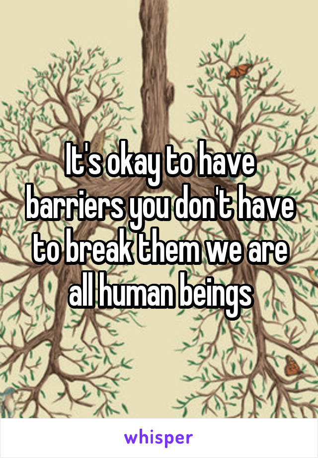 It's okay to have barriers you don't have to break them we are all human beings