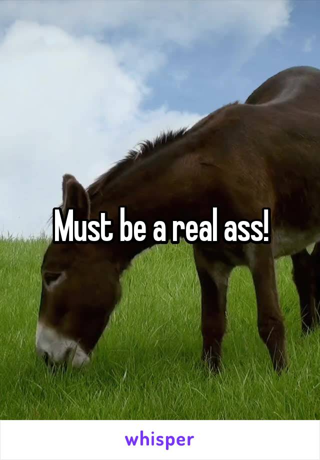 Must be a real ass!