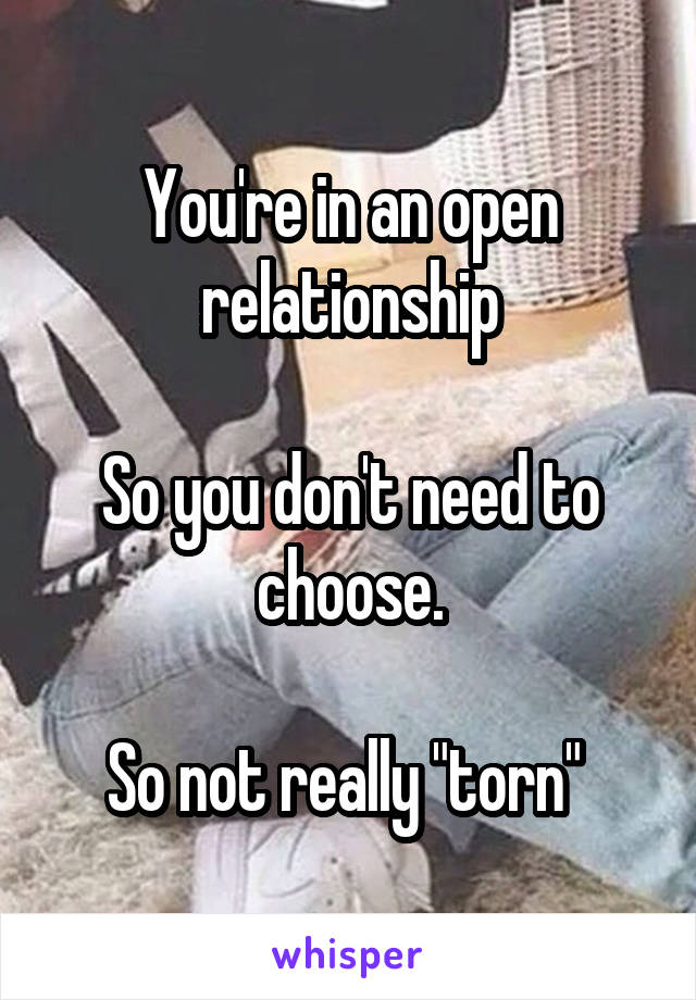 You're in an open relationship

So you don't need to choose.

So not really "torn" 