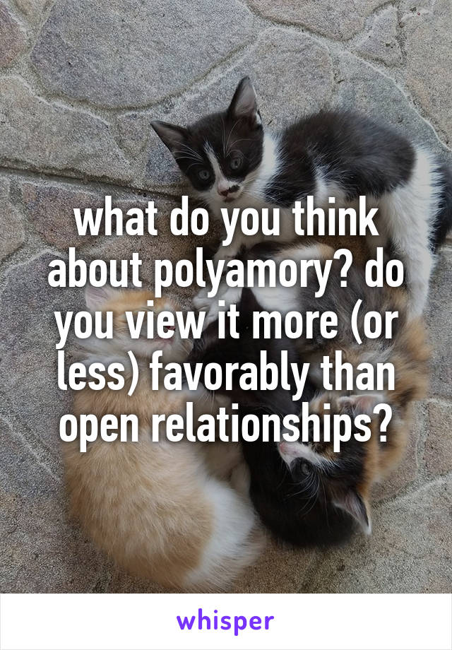 what do you think about polyamory? do you view it more (or less) favorably than open relationships?