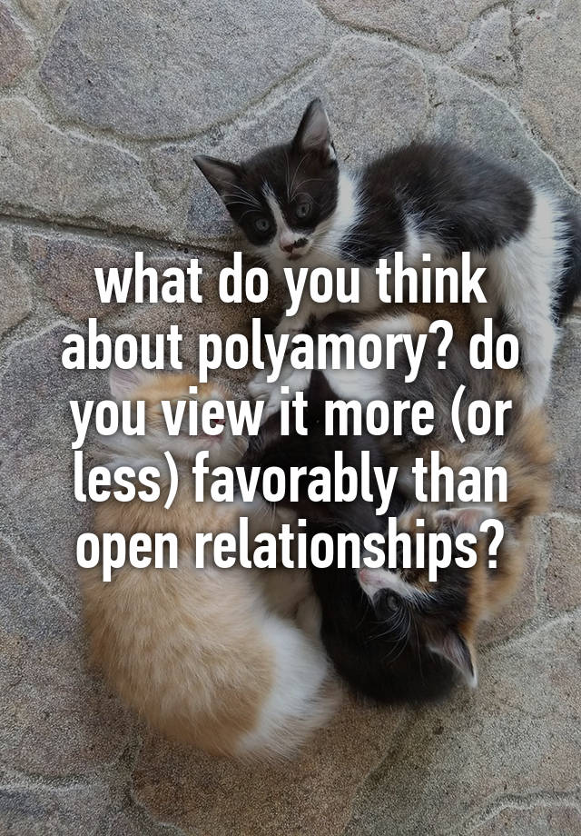 what do you think about polyamory? do you view it more (or less) favorably than open relationships?