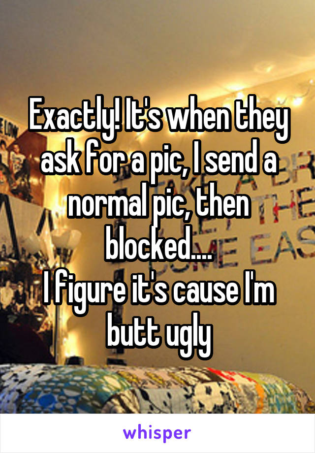 Exactly! It's when they ask for a pic, I send a normal pic, then blocked....
I figure it's cause I'm butt ugly