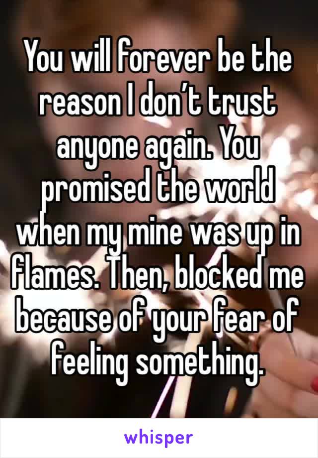 You will forever be the reason I don’t trust anyone again. You promised the world when my mine was up in flames. Then, blocked me because of your fear of feeling something. 