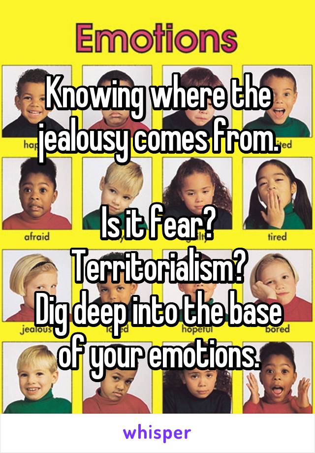 Knowing where the jealousy comes from.

Is it fear? Territorialism?
Dig deep into the base of your emotions.