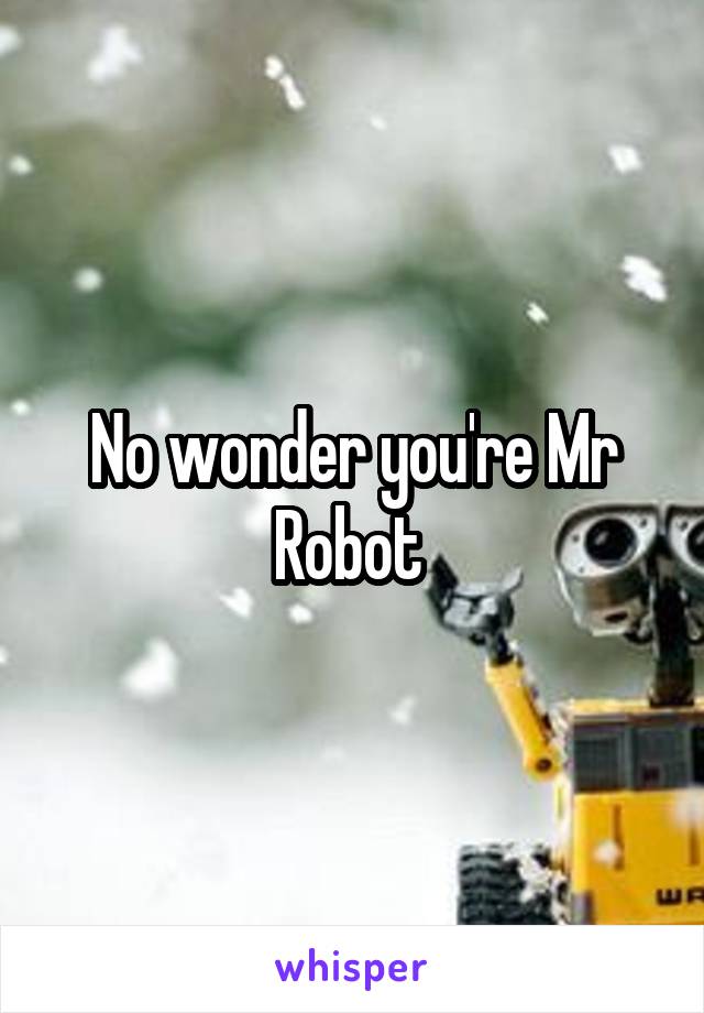 No wonder you're Mr Robot 