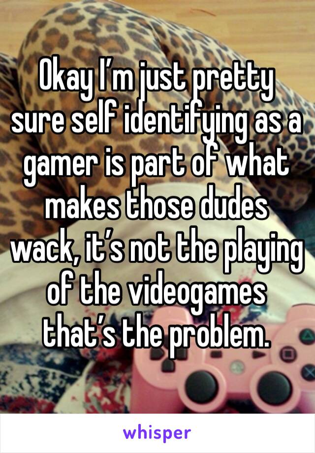 Okay I’m just pretty sure self identifying as a gamer is part of what makes those dudes wack, it’s not the playing of the videogames that’s the problem. 