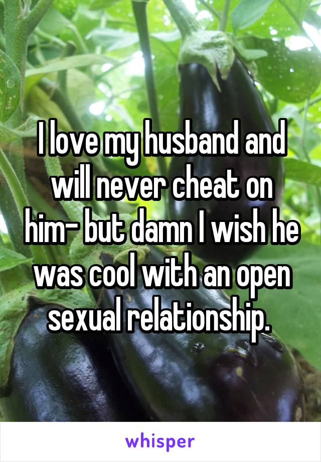 I love my husband and will never cheat on him- but damn I wish he was cool with an open sexual relationship. 