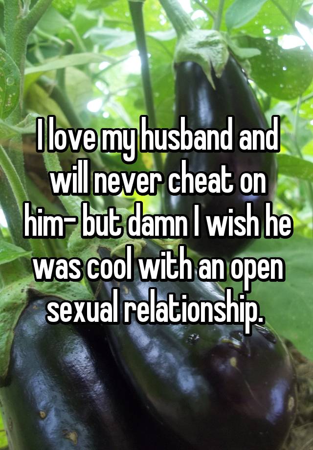 I love my husband and will never cheat on him- but damn I wish he was cool with an open sexual relationship. 