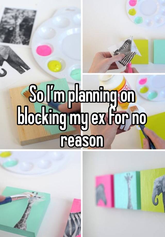 So I’m planning on blocking my ex for no reason 