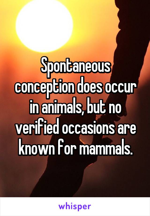 Spontaneous conception does occur in animals, but no verified occasions are known for mammals.