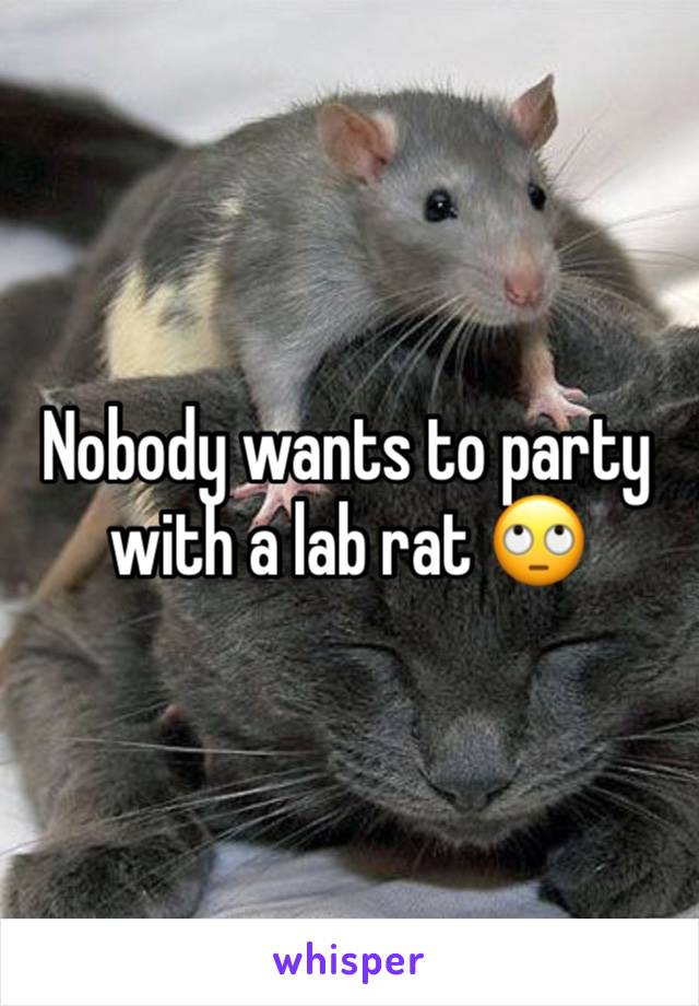 Nobody wants to party with a lab rat 🙄