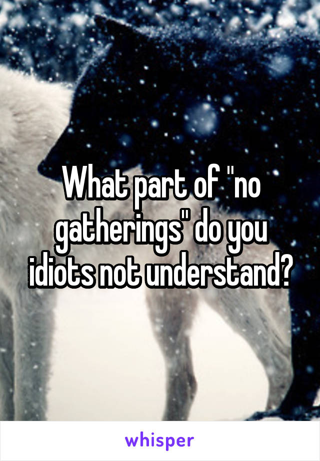 What part of "no gatherings" do you idiots not understand?