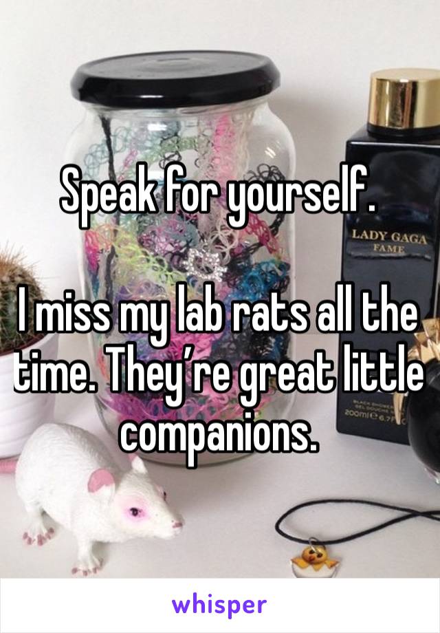 Speak for yourself. 

I miss my lab rats all the time. They’re great little companions. 