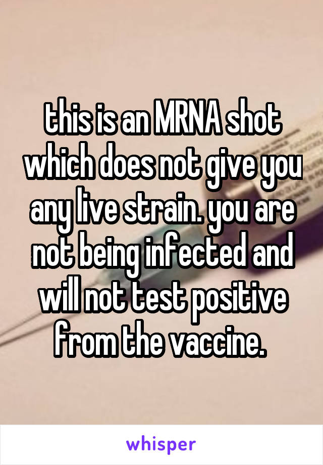 this is an MRNA shot which does not give you any live strain. you are not being infected and will not test positive from the vaccine. 