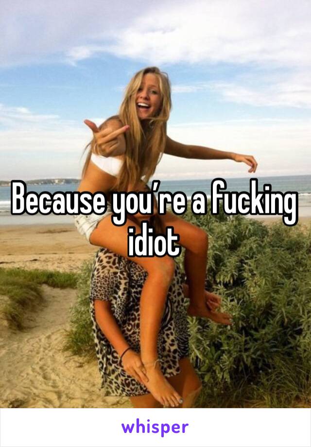 Because you’re a fucking idiot