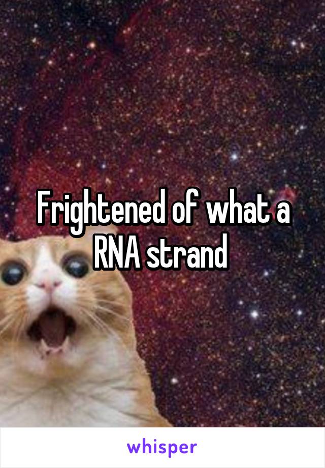 Frightened of what a RNA strand 