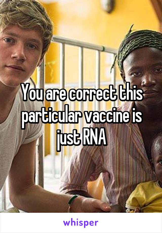 You are correct this particular vaccine is just RNA